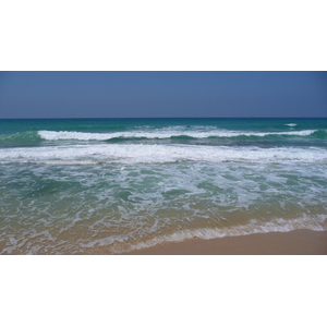 照片 以色列(Israel) 尼灿(Nitzan) 2007-06 52