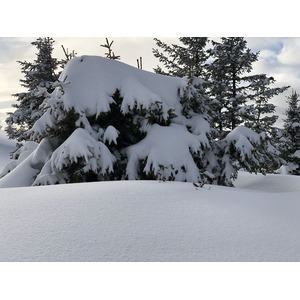 照片 法国(France) 阿尔利河畔普拉(Praz sur Arly) 2019-12 174