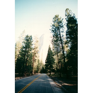 照片 美国(United States) 优胜美地国家公园(Yosemite National Park) 1992-08 16