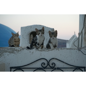 照片 希腊(Greece) 圣托里尼岛(Santorini) 伊亚洞穴屋(Oia cave house) 2016-07 9