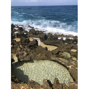 照片 瓜德罗普(Guadeloupe) 城堡角(Castle Point) 2021-02 288