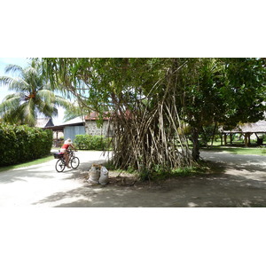 照片 塞舌尔(Seychelles) 拉迪格岛(La Digue) 2011-10 163