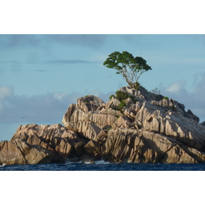 照片 塞舌尔(Seychelles) 普拉兰岛(Praslin) 2011-10 81