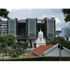 照片 新加坡(Singapore) 福康宁公园(Fort Canning Park) 2023-01 19