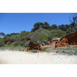 照片 法国(France) 波克罗勒岛(Porquerolles Island) 库尔塔德海滩(Courtade beach) 2008-05 22
