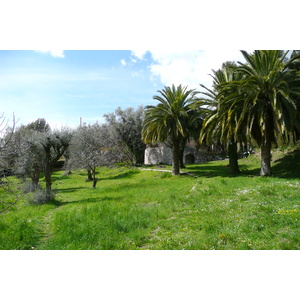 照片 法国(France) 旺斯(Vence) 上旺斯(Hauts de Vence) 2008-03 114
