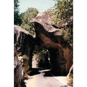 照片 美国(United States) 优胜美地国家公园(Yosemite National Park) 1992-08 35