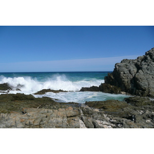 照片 南非(South Africa) 齐齐卡马国家公园(Tsitsikamma National Park) 2008-09 449