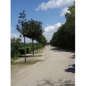 照片 法国(France) 科隆布(Colombes) 马朗特岛(L'ile Marrante) 2007-07 18