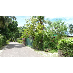 照片 塞舌尔(Seychelles) 拉迪格岛(La Digue) 2011-10 102