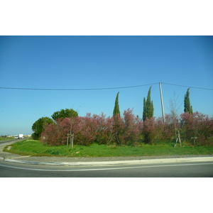照片 法国(France) 普罗旺斯(Provence) 莱博至塔拉斯孔公路(Baux de Provence to Tarascon road) 2008-04 1