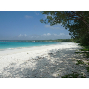 照片 新喀里多尼亚(New Caledonia) 利富岛(Lifou) 夏多布里昂湾(Chateaubriand Bay) 2010-05 88