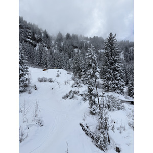 照片 法国(France) 阿尔利河畔普拉(Praz sur Arly) 2025-02 95