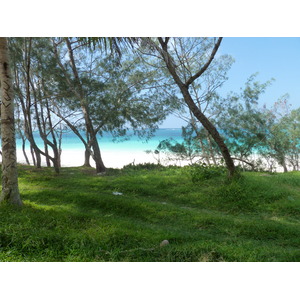 照片 新喀里多尼亚(New Caledonia) 利富岛(Lifou) 夏多布里昂湾(Chateaubriand Bay) 2010-05 86
