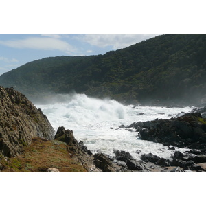 照片 南非(South Africa) 齐齐卡马国家公园(Tsitsikamma National Park) 2008-09 138
