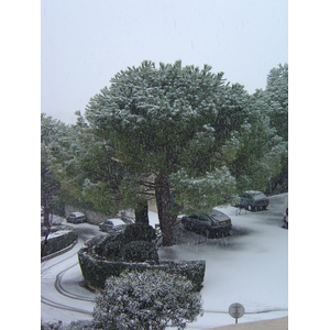 照片 法国(France) 旺斯(Vence) 2005-02 25