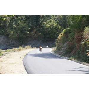照片 法国(France) 科西嘉岛(Corsica) 洛雷托-迪卡辛卡(Loreto-di-Casinca) 2017-09 37