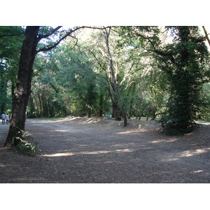 照片 法国(France) 维尔讷夫卢贝(Villeneuve Loubet) 沃格勒尼耶公园(Parc de Vaugrenier) 2006-09 15