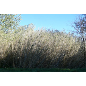 照片 法国(France) 普罗旺斯(Provence) 莱博至塔拉斯孔公路(Baux de Provence to Tarascon road) 2008-04 3