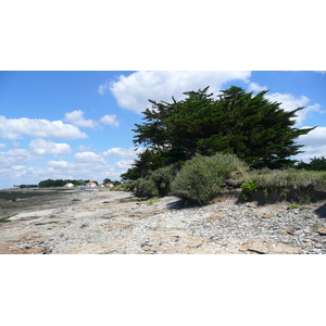 照片 法国(France) 普雷法耶(Prefailles) 圣吉尔达角至拉普雷(La pointe Saint Gildas to La Pree) 2007-08 57