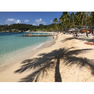 照片 瓜德罗普(Guadeloupe) 卡拉维尔海滩(La Caravelle Beach) 2021-02 77