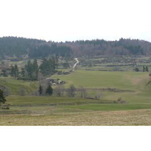照片 法国(France) 奥布拉克(L'Aubrac) 2008-04 62