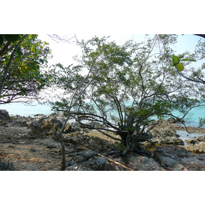 照片 泰国(Thailand) 春武里(Chonburi) 赛乔海滩(Sai Keaw Beach) 2008-01 27