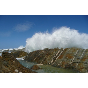 照片 南非(South Africa) 齐齐卡马国家公园(Tsitsikamma National Park) 2008-09 101