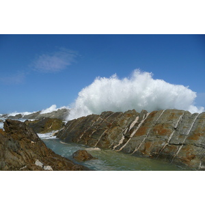 照片 南非(South Africa) 齐齐卡马国家公园(Tsitsikamma National Park) 2008-09 139