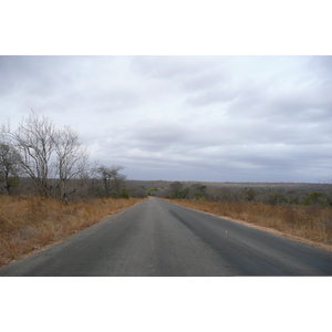 照片 南非(South Africa) 克鲁格国家公园(Kruger National Park) 2008-09 180