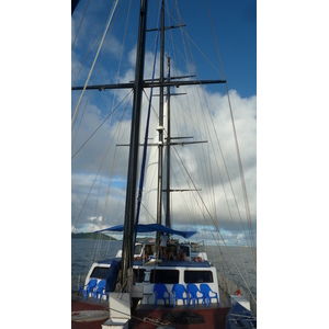 照片 塞舌尔(Seychelles) 海星(Sea Star) 2011-10 42