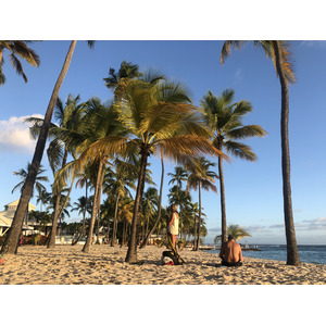 照片 瓜德罗普(Guadeloupe) 卡拉维尔海滩(La Caravelle Beach) 2021-02 148