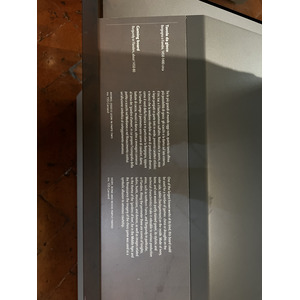 照片 意大利(Italy) 佛罗伦萨(Florence) 巴杰罗博物馆(Bargello Museum) 2022-05 81