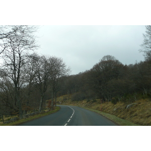 照片 法国(France) 奥布拉克(L'Aubrac) 2008-04 60