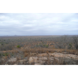 照片 南非(South Africa) 克鲁格国家公园(Kruger National Park) 2008-09 178