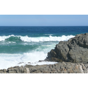 照片 南非(South Africa) 齐齐卡马国家公园(Tsitsikamma National Park) 2008-09 100