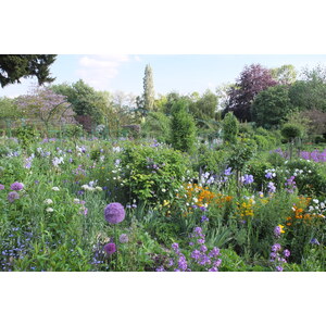 照片 法国(France) 吉维尼(Giverny) 2013-06 21