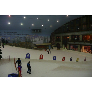 照片 阿联酋(United Arab Emirates) 迪拜(Dubai) 迪拜室内滑雪场(Ski Dubai) 2009-01 11