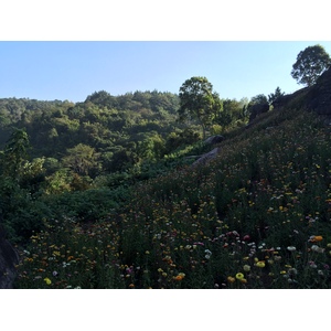 照片 泰国(Thailand) 普欣隆卡国家公园(Phu Hin Rong Kla National Park) 2014-12 339