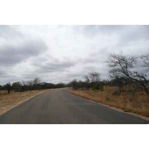 照片 南非(South Africa) 克鲁格国家公园(Kruger National Park) 2008-09 197