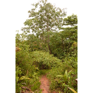 照片 塞舌尔(Seychelles) 拉齐奥湾(Anse Lazio) 2011-10 82