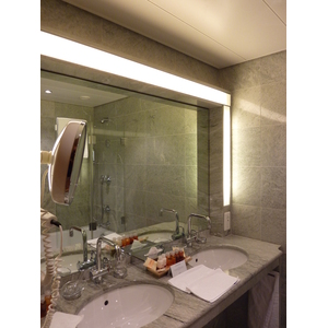 照片 瑞士(Switzerland) 苏黎世(Zurich) 施泰根博阁湖畔贝勒里夫酒店(Steigenberger Hotel Bellerive au Lac) 2009-06 13
