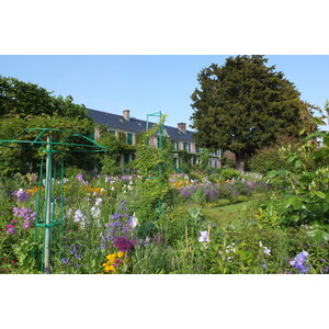 照片 法国(France) 吉维尼(Giverny) 2013-06 22
