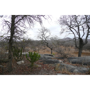 照片 南非(South Africa) 克鲁格国家公园(Kruger National Park) 2008-09 182