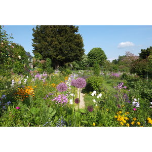 照片 法国(France) 吉维尼(Giverny) 2013-06 28