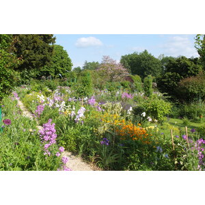 照片 法国(France) 吉维尼(Giverny) 2013-06 13
