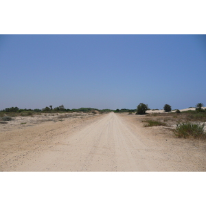 照片 以色列(Israel) 尼灿(Nitzan) 2007-06 99