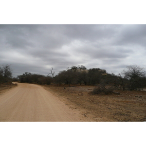 照片 南非(South Africa) 克鲁格国家公园(Kruger National Park) 2008-09 12