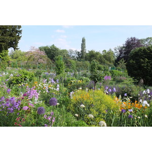 照片 法国(France) 吉维尼(Giverny) 2013-06 3