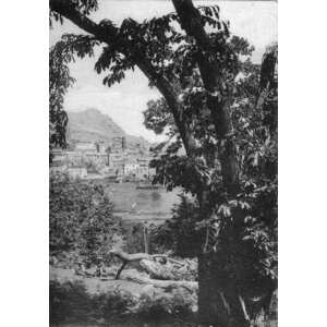 照片 法国(France) 科西嘉岛(Corsica) 老明信片(Old Postcards) 1900-01 229